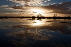 Powódź na równinie Somerset (fot. Mark Robinson/CC BY-NC 2.0/Flickr.com)